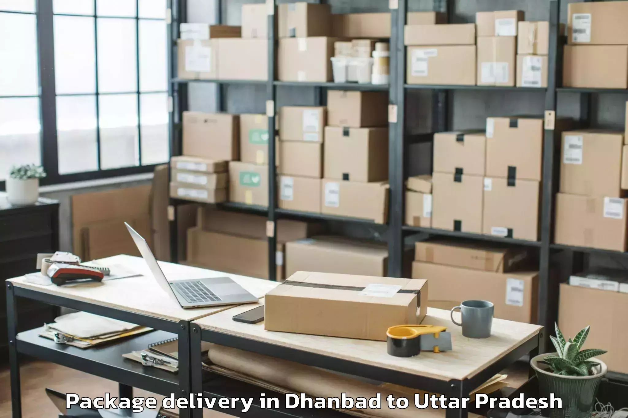 Quality Dhanbad to Manjhanpur Package Delivery